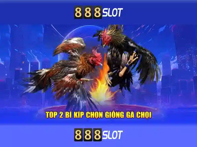 888slot – Trải nghiệm máy đánh bạc trực tuyến an toàn và tiện lợi