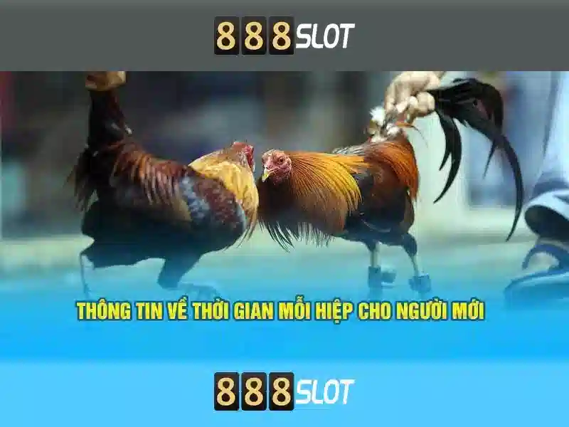 Khuyến mãi và thưởng