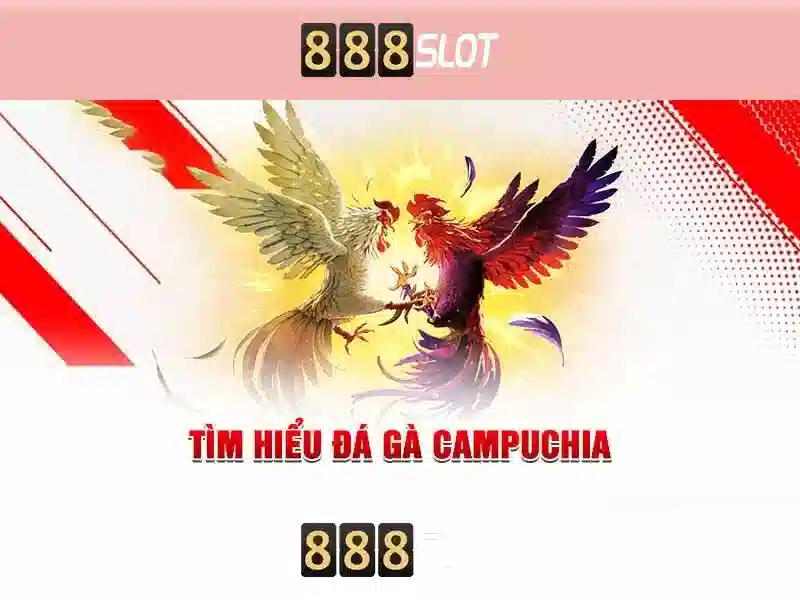 Trải nghiệm người dùng và hỗ trợ
