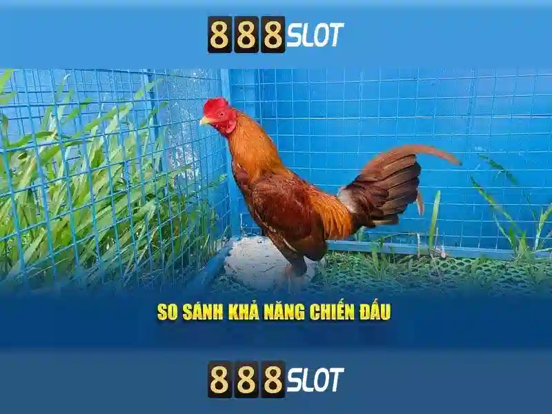 Danh mục trò chơi.slot đa dạng