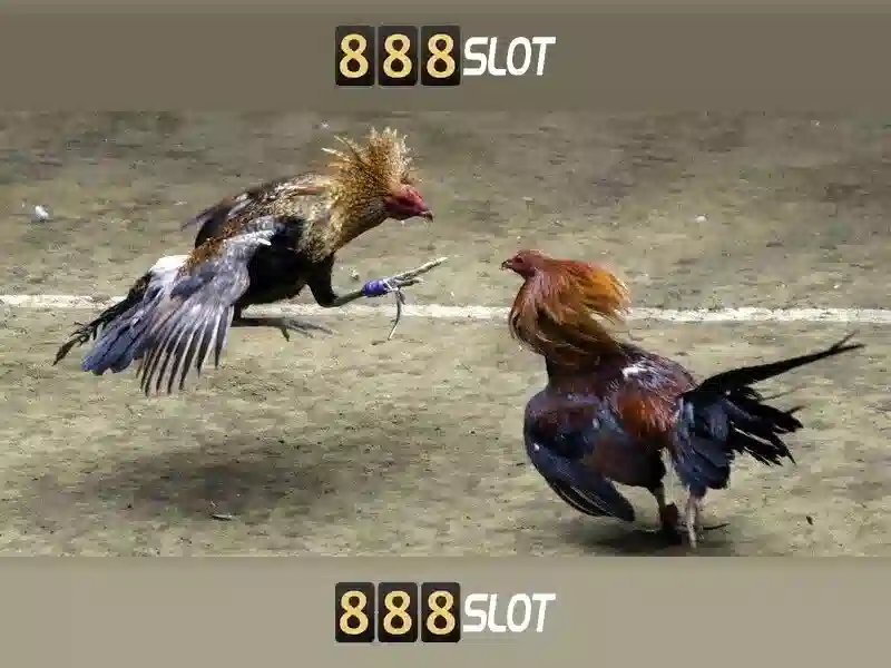 888slot - Nền tảng slot trực tuyến hàng đầu tại thị trường hiện nay