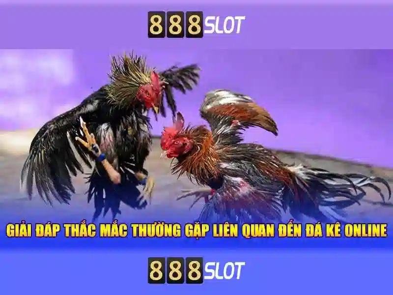 Các sản phẩm và dịch vụ trọng tâm: ứng dụng thực tế của https 888slots com download