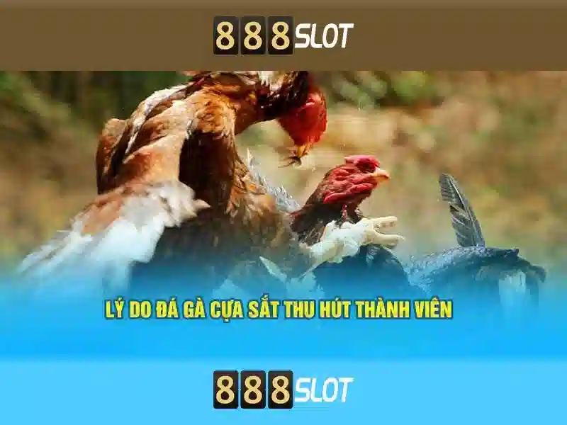 Giới thiệu về 888slot