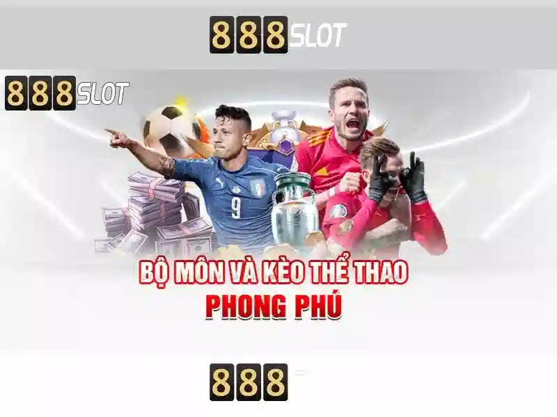 Phản hồi người dùng và cộng đồng