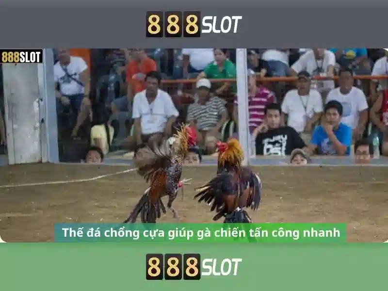 Trải nghiệm người dùng và phản hồi cộng đồng