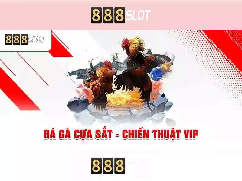 Khuyến mãi và bảo mật