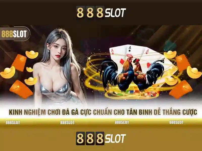 Khuyến mãi và bảo mật