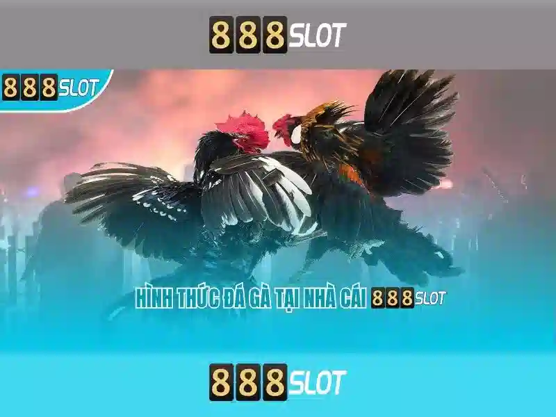 Giới thiệu về 888slot