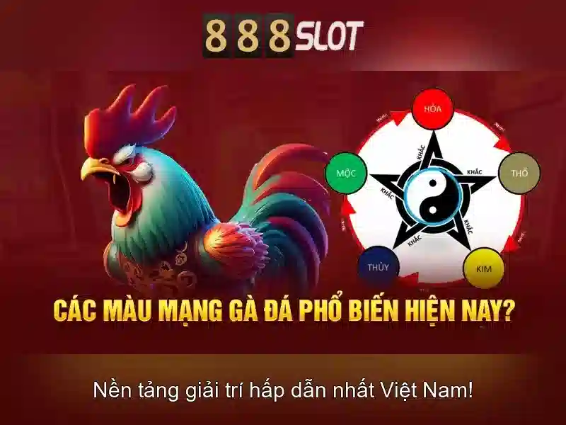 Hỗ trợ khách hàng và đóng góp cộng đồng
