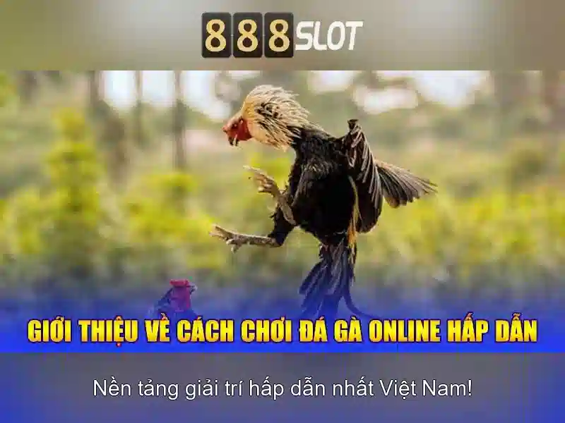 Khuyến mãi và cách nạp rút