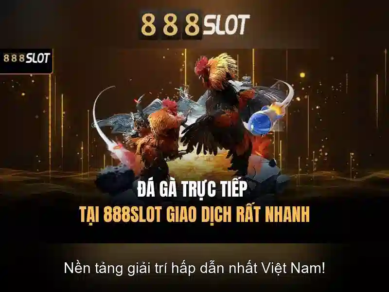 Kết luận