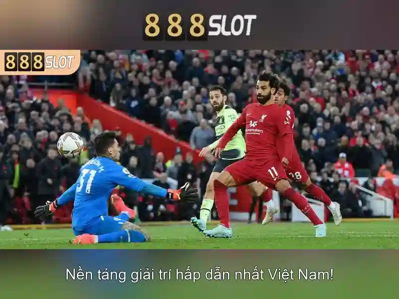 Khuyến mãi và chương trình thưởng