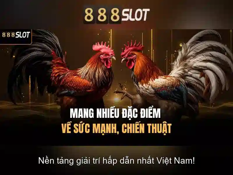 888slot: Tổng quan về nền tảng casino trực tuyến đáng tin cậy
