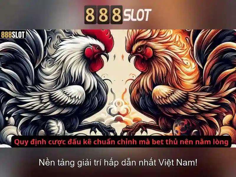Hỗ trợ khách hàng và dịch vụ