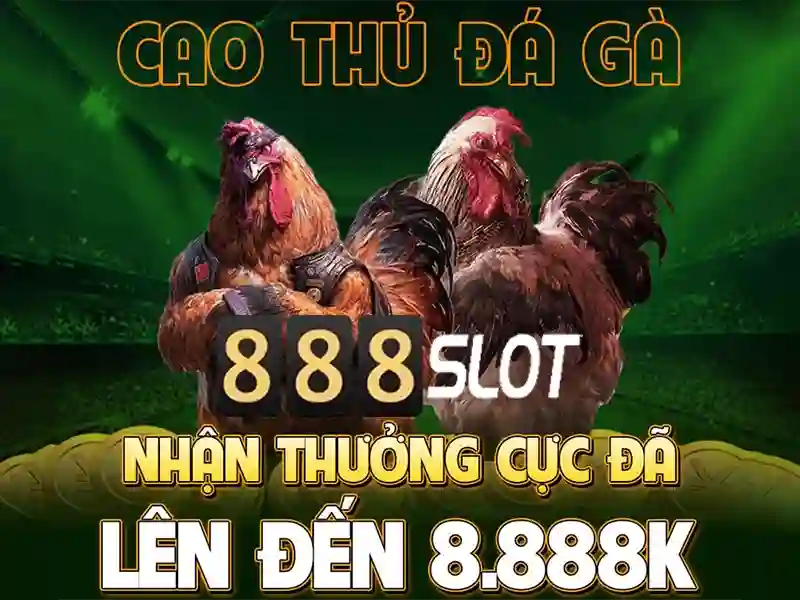 Hỗ trợ khách hàng và liên hệ